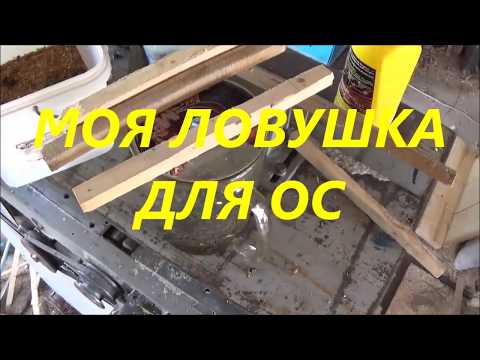 Видео: Как избавиться от ос. Ловушка для ос и шершней. До слёз