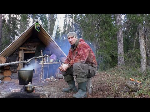 Видео: Живу в избе,гоняю медведей от привады.Про охоту на медведя и напарника.