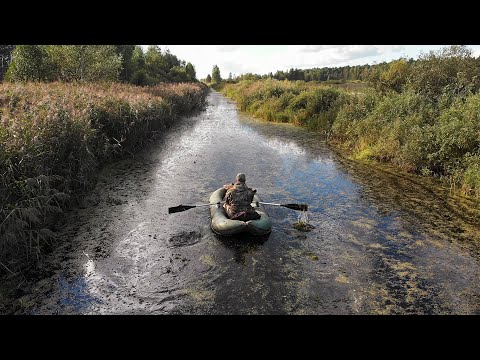 Видео: Сложная карта | Труднодоступное болото | Охота на утку 2020