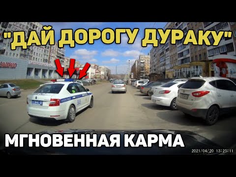 Видео: Автоподборка "Дай Дорогу Дураку"🚦Мгновенная Карма#248