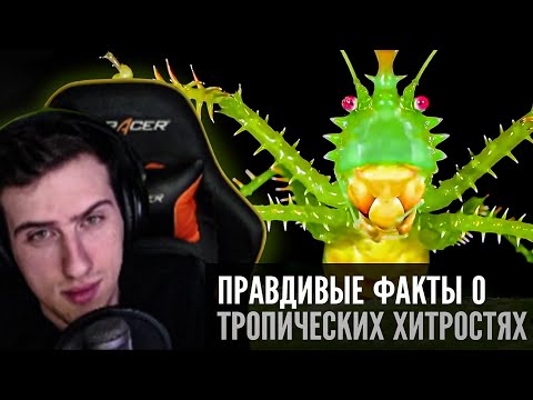 Видео: Hellyeahplay смотрит: Правдивые факты о тропических хитростях