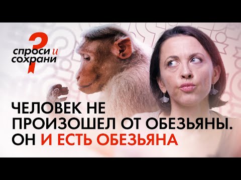 Видео: Человек — это обезьяна. Рассказывает Евгения Тимонова (@vsekakuzverei-channel)