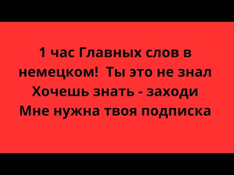 Видео: 1 час    Главных слов в немецком! Изучение неме