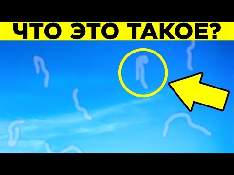 Видео: Что Это За Прозрачные Штучки в Глазах? Парад Фактов 8