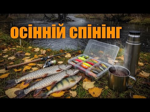 Видео: ✅РИБАЛКА в ГРЯЗЬ:🌧️ Сильний ДОЩ і СПІНІНГ з БЕРЕГА