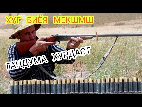 Видео: Дооод ай дасти ХУКҲО. Гандума бони умадем.
