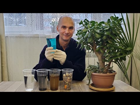 Видео: 4 НАТУРАЛЬНЫХ удобрения, которые работают ЛУЧШЕ ПОКУПНЫХ!