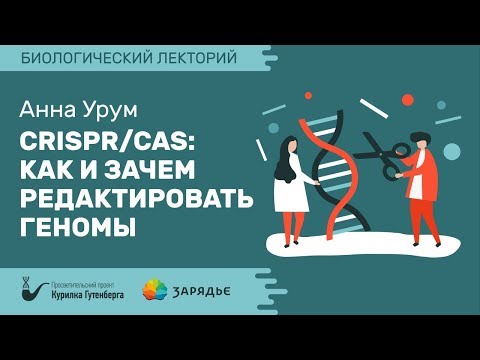 Видео: Биолекторий | CRISPR/Cas: как и зачем редактировать геномы – Анна Урум