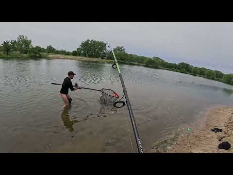 Видео: ЛОВЛЯ КАРПА В АМЕРИКЕ, ПРИЕХАЛИ ЗА МАЛЕНЬКИМИ КАРПИКАМИ, А ПОЙМАЛИ МОНСТРА!!