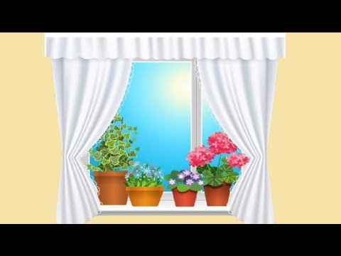 Видео: Заняття розвиток мовлення для дітей раннього віку.   Тема: "Кімнатні рослини"