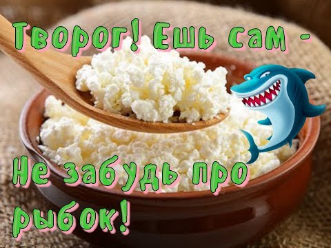 Видео: Чем кормить рыбок.  Часть 3