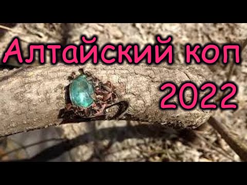 Видео: Алтайский коп.Открытие сезона 2022.