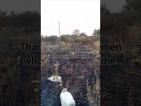 Видео: Do not burn dry grass it is dangerous//не палить суху траву,палить краще окупантів