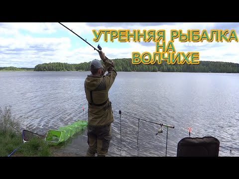 Видео: летняя рыбалка. Фидер. Волчихинское водохранилище. Встреча с утятами
