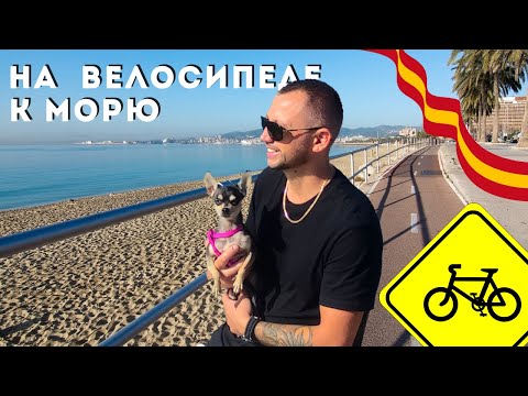 Видео: На велосипеде вдоль моря . Побережье Каталонии - из Салоу в Камбрильс