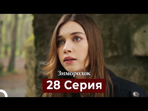 Видео: Зимородок 28 Cерия (Русский дубляж)