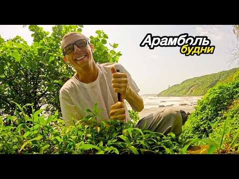 Видео: Арамбольские Будни! Ушел на Sweet Lake. ОДИН ДЕНЬ  в ГОА! Новый сезон 2025-26