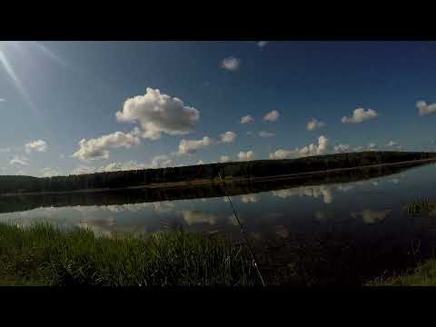Видео: Озеро Шалинское  Местный рыбак о рыбалке