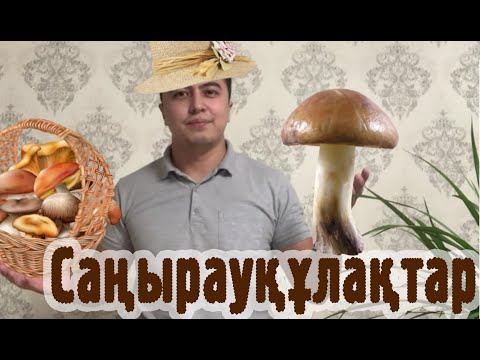 Видео: Саңырауқұлақтар