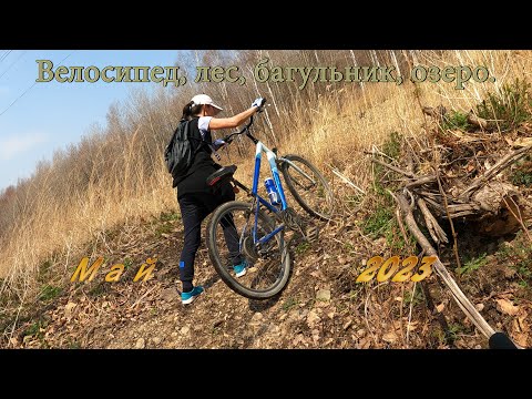 Видео: Велосипед, лес, багульник, озеро.