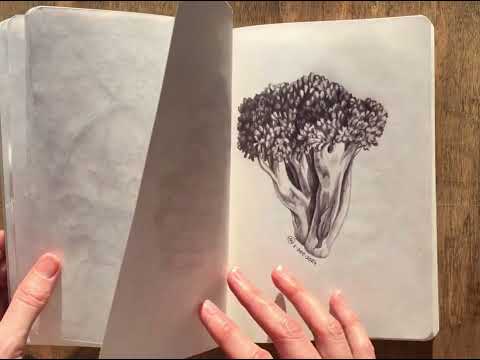 Видео: Falafel Twilight Sketchbook tour/ Скетчбук Falafel Сумерки