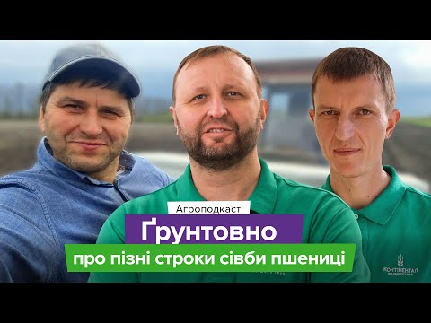 Видео: Посів пшениці: що робити, коли вже пізно, але дуже треба