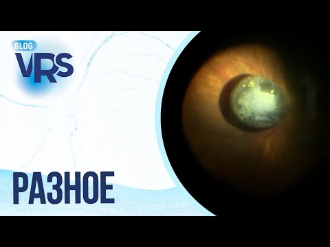 Видео: Вопросы на различные темы
