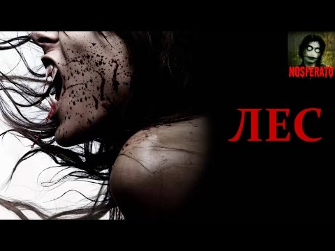 Видео: Истории на ночь - Лес