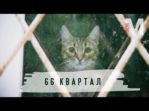 Видео: Курмыши. Тревел-блог по 66 кварталу  | «Твой Металлург»