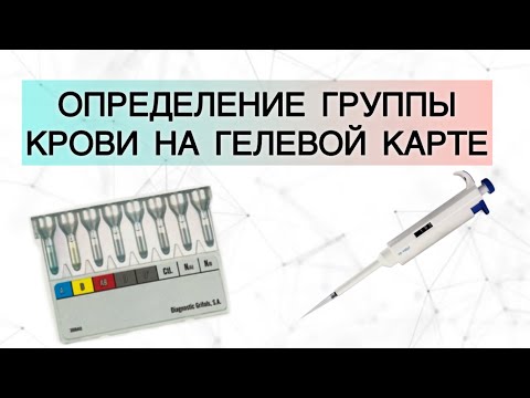Видео: Определение группы крови на гелевой карте