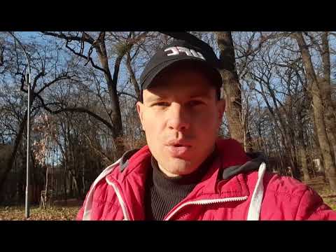 Видео: Бджолопакети та матки. Розплід у сім'ях. Пилок, перга, прополіс.