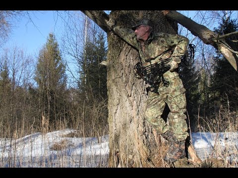 Видео: Сравнение 5 лучших блочных луков для охоты - только факты и цифры