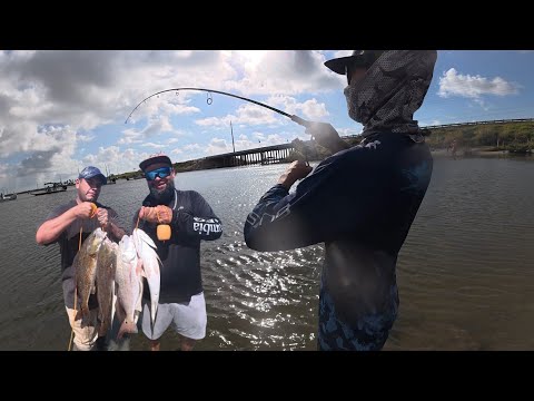 Видео: Ловля рыбы на мосту с ограничением количества морского окуня (ловля и приготовление) в Корпус-Кри...