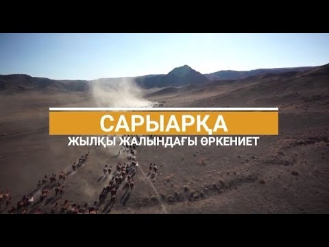Видео: Сарыарқа. Жылқы жалындағы өркениет