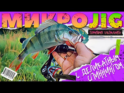 Видео: Рыбачу с CF NANO ZERO SE ► МИКРОДЖИГ