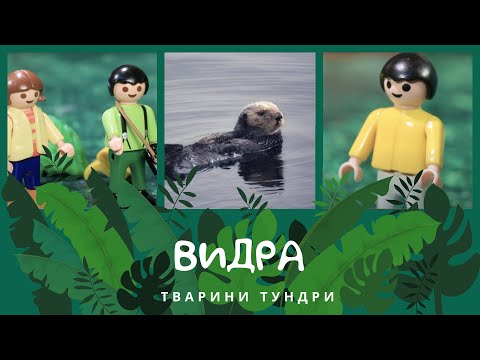 Видео: Видра. Тварини Тундри | КоМарко