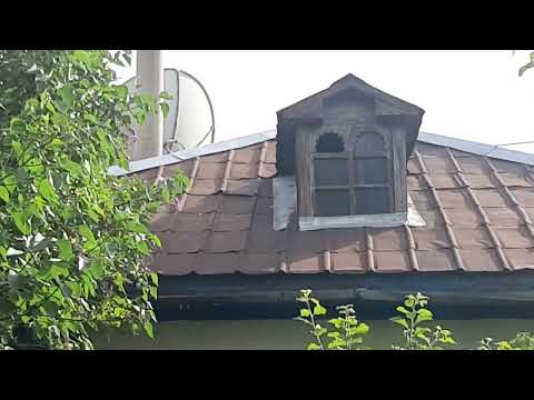 Видео: Балпык би, улица Жарокова - обзор дома, спустилась к речке