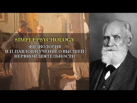 Видео: Физиология. И.П. Павлов и учение о высшей нервной деятельности.