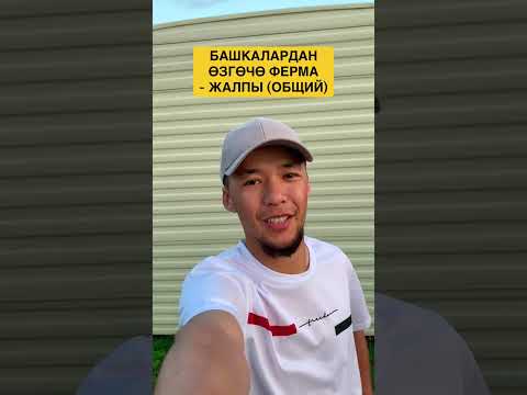 Видео: Жаңы Фермага келдим 📍Англия