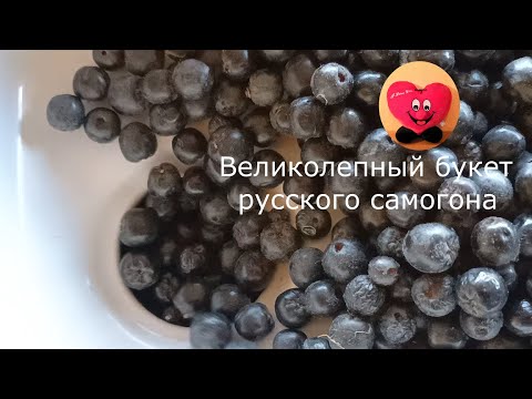 Видео: Самогон из аронии (черноплодной рябины)