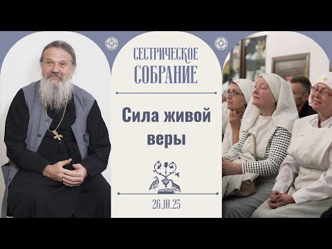 Видео: Невероятные и трогательные истории о чудесах! Сестрическое собрание с о. Андреем Лемешонком 26.10.25