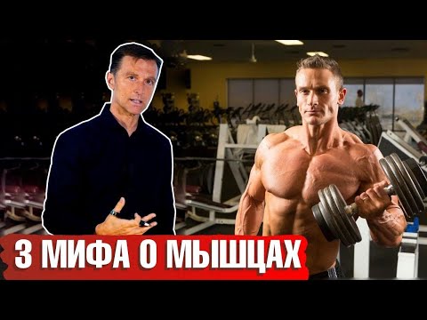 Видео: Что нельзя есть при наборе мышечной массы? 3 МИФА, о которых вы не знали 🏋️‍♀️