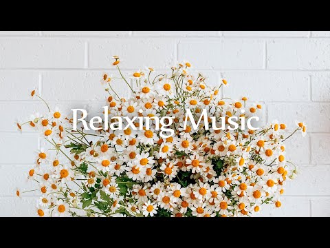 Видео: [Piano] Комфортная фортепианная музыка для легкого дня  l GRASS COTTON+