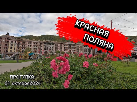 Видео: КРАСНАЯ ПОЛЯНА / ВОТ ГДЕ ВСЕ ТУРИСТЫ / ЭСТОСАДОК