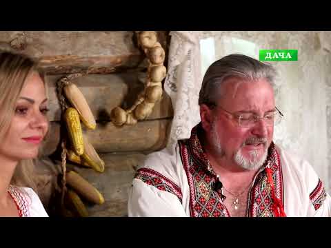 Видео: Рецепты шинкаря № 46   Сливянка