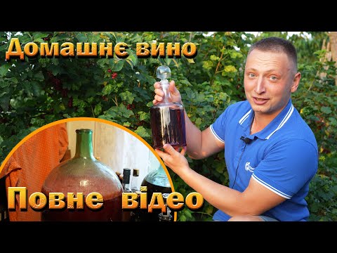 Видео: ПОВНЕ ВІДЕО. Вино з порічок та інших плодів. Домашнє плодове вино.