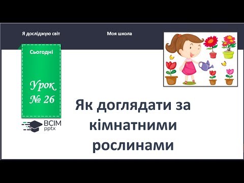 Видео: ЯДС 1 клас. Урок 26. Як доглядати за кімнатними рослинами.