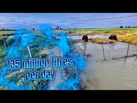 Видео: Весенний полив в Австралии в самом разгаре 😎💦💦