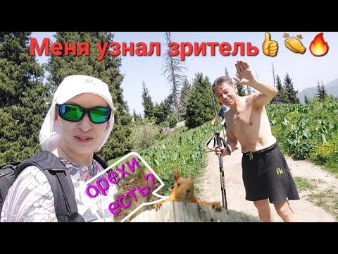 Видео: Кок Жайляу. Горы алматы, водопад, белка. Зритель узнал в горах)