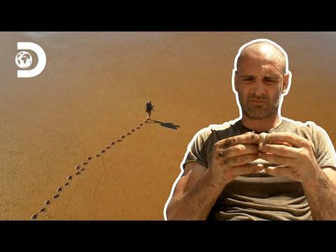 Видео: В капана на мангровите гори | Ед Стафърд - Захвърлен в пустошта